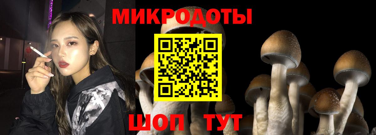 Псилоцибиновые грибы прущие грибы Комсомольск-на-Амуре